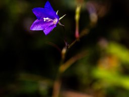 Fotowalk Pfarrwerfen - Bahnhof Werfen